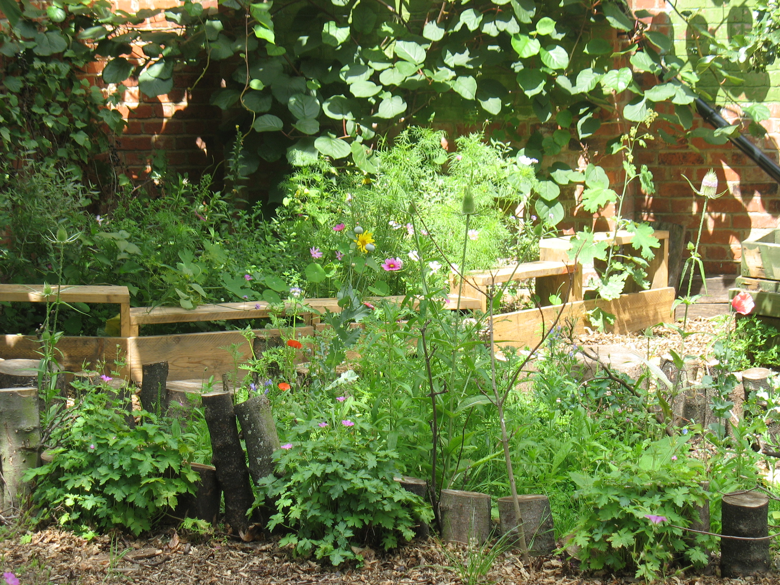 Mayow Park Community Garden