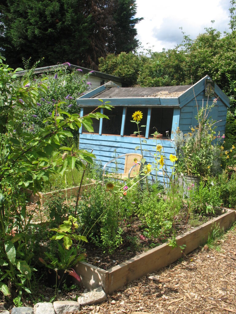 garden, Mayow Park Community Garden